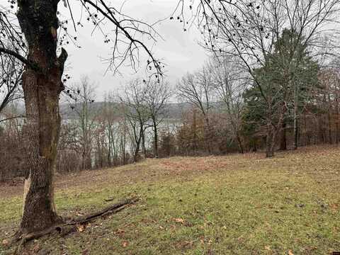 20725 HORSESHOE BEND ROAD, Lead Hill, AR 72644