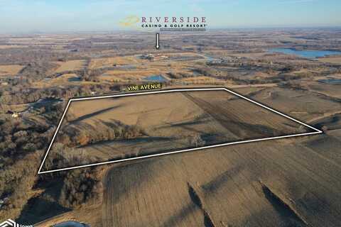 Vine Avenue, Riverside, IA 52327