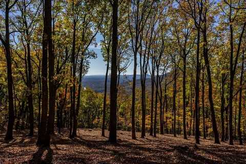 40.5 Ac Windsong, Jasper, GA 30143