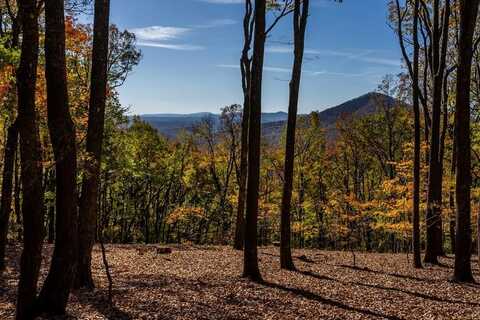 40.5 Ac Windsong, Jasper, GA 30143
