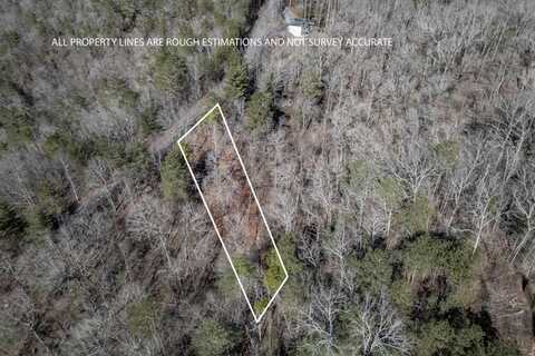 Lot 1636 Long Branch Drive, Talking Rock, GA 30175