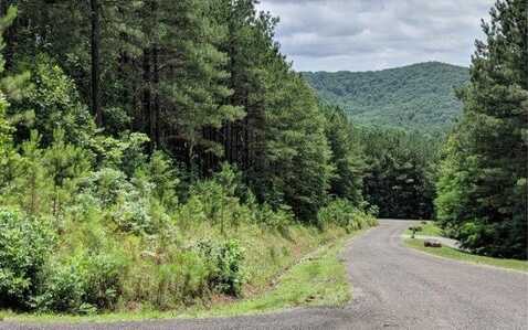 Lot 6 Black Bear Ridge Road, Ellijay, GA 30536