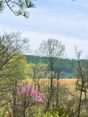 HWY 144, Smithville, OK 74957