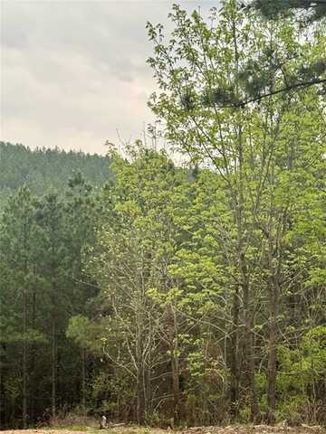 30 Lukfata Trail, Broken Bow, OK 74728