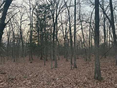 Lot 3 HWY 82 East, Blossom, TX 75416
