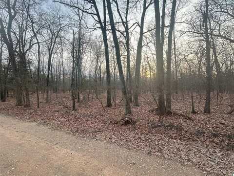 Lot 3 HWY 82 East, Blossom, TX 75416