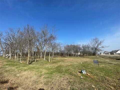 Tbd Nelson Drive, Sulphur Springs, TX 75482