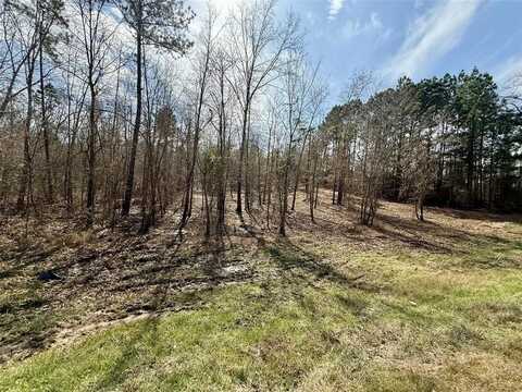 20992 Fm 2767, Winona, TX 75792