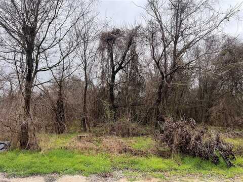 Tbd Limited Street, Waco, TX 76705