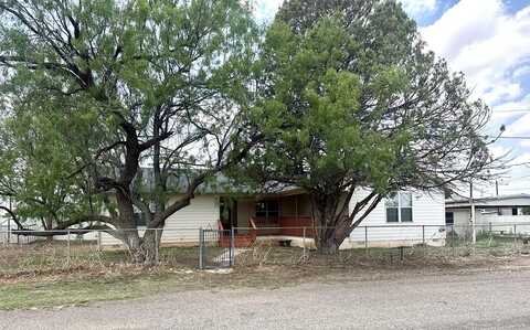 305 S 14th St, Alpine, TX 79830