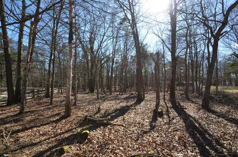 Stony Mountain Road, Albrightsville, PA 18210