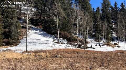 506 Arrowhead Road, Florissant, CO 80816