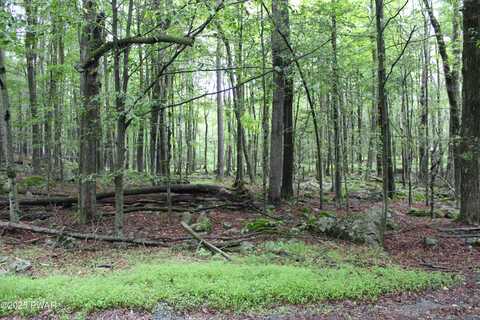Lot 1906 Horizon Drive, Greentown, PA 18426