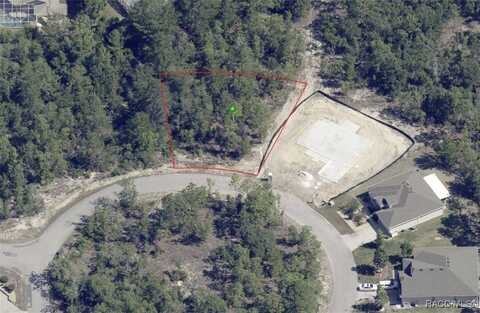 19 Rudbeckia Court, Homosassa, FL 34446