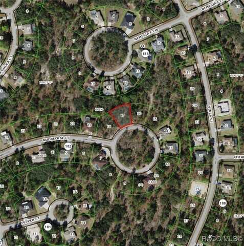 17 Rudbeckia Court, Homosassa, FL 34446
