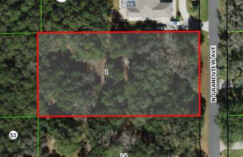 350 N Grandview Avenue, Hernando, FL 34442