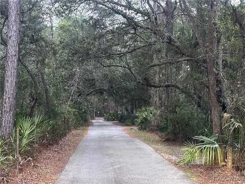 0 Our Road, Inglis, FL 34449