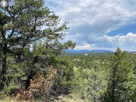 236 Marion Lane, Cotopaxi, CO 81223