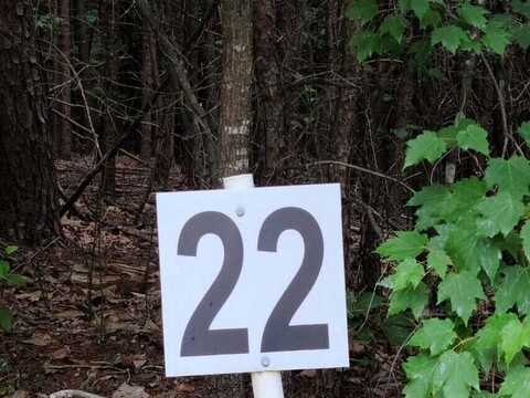 Lot 22 Belle Isle DR, Union Hall, VA 24176