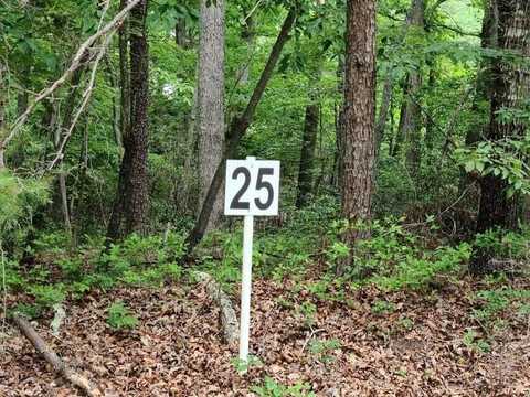 Lot 25 Belle Isle DR, Union Hall, VA 24176