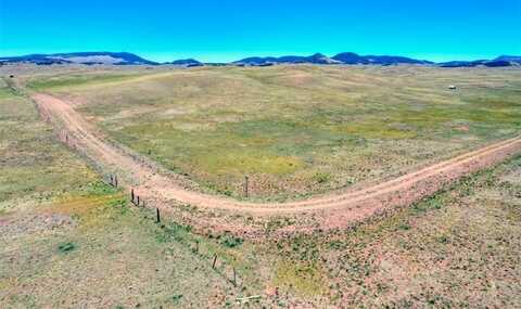 4962 BLACK DOG TRAIL, Hartsel, CO 80449