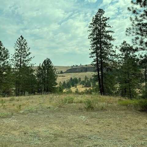 Lot 2 Scotch Bloom S/P Ln, Davenport, WA 99122