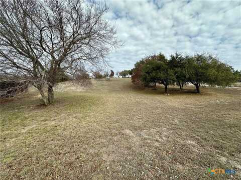 Lot 24 Andy's Pt Point, Burnet, TX 78611