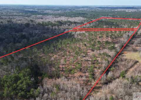 TBD CR 3665, Queen City, TX 75572