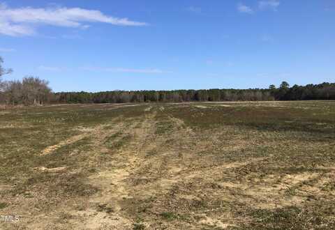 Lot 5 Nc Hwy 111, Pink Hill, NC 28572