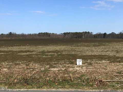 Lot 1 Sarecta Road, Pink Hill, NC 28572