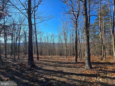 TIMBER RIDGE ROAD - PCL 17.1, BERKELEY SPRINGS, WV 25411