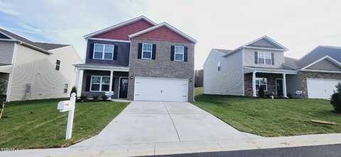 98 Thistle Drive, Bluff City, TN 37618