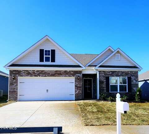 97 Thistle Drive, Bluff City, TN 37618