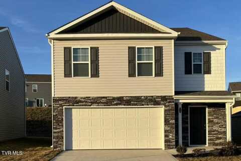 1050 Persimmon Hollow, Greeneville, TN 37745