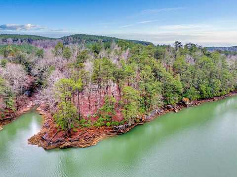 LOT 60 & 61 SIPSEY OVERLOOK Dr, Double Springs, AL 35553