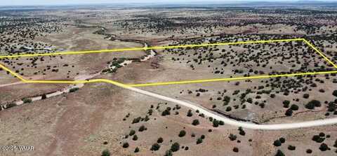 565 County Rd 5270, Concho, AZ 85924