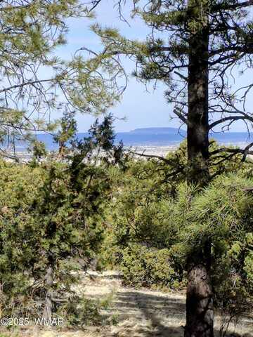 Tbd Red Cabin Ranch LOT 8, Vernon, AZ 85940