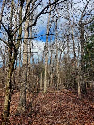 0 Brown Creek Drive, Crossville, TN 38571