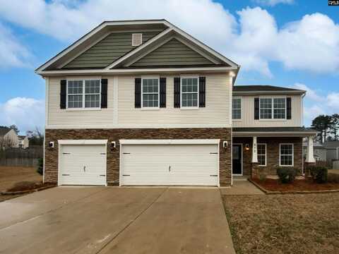 873 Sunseeker Drive, Chapin, SC 29036