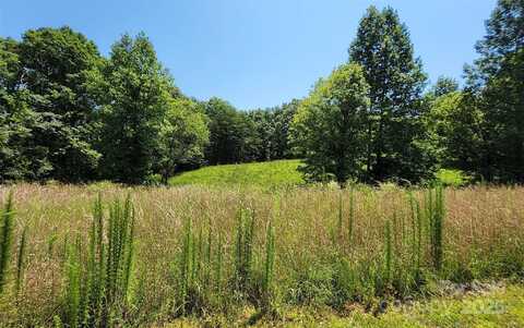 Shady Bark Lane unit: 46, Rutherfordton, NC 28139