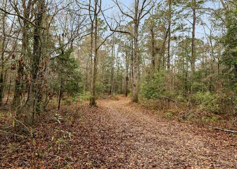 0 Santee River Road, Saint Stephen, SC 29479