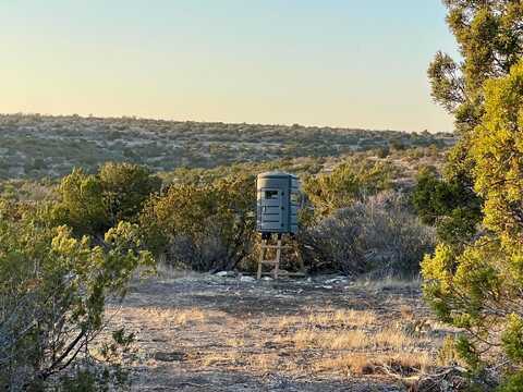 000 McQueen Ranch, Comstock, TX 78837