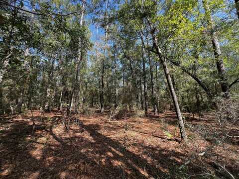 Tbd Turkey Trail, Milton, FL 32583