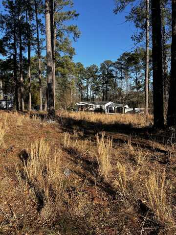 53 LOT, Lincolnton, GA 30817