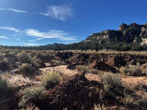 Box S Ranch Road lot: 5, Ramah, NM 87321