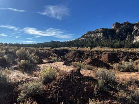 Lot 5 Box S Ranch Road, Ramah, NM 87321