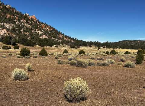 Lot 5b Box S Ranch Road, Ramah, NM 87321