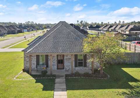 25320 Black Lake Ave, Livingston, LA 70754