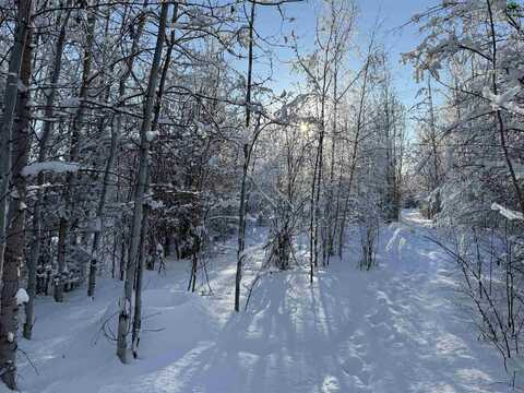 NHN MISSY COURT, North Pole, AK 99705