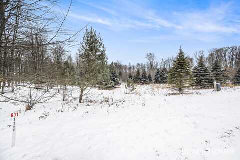 6135 Fawn Lake Drive, Stanwood, MI 49346